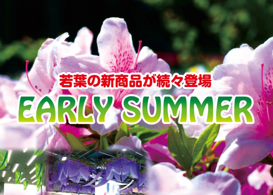2013 EARLY SUMMER