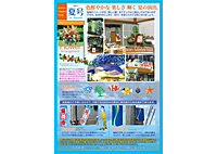 2011 Summer Collection