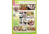 2011 Spring Collection